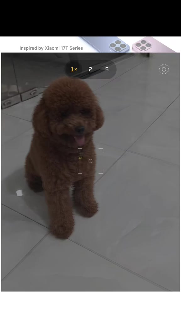 @𝐂𝐄𝐍𝐀 𝐕𝐍🇻🇳