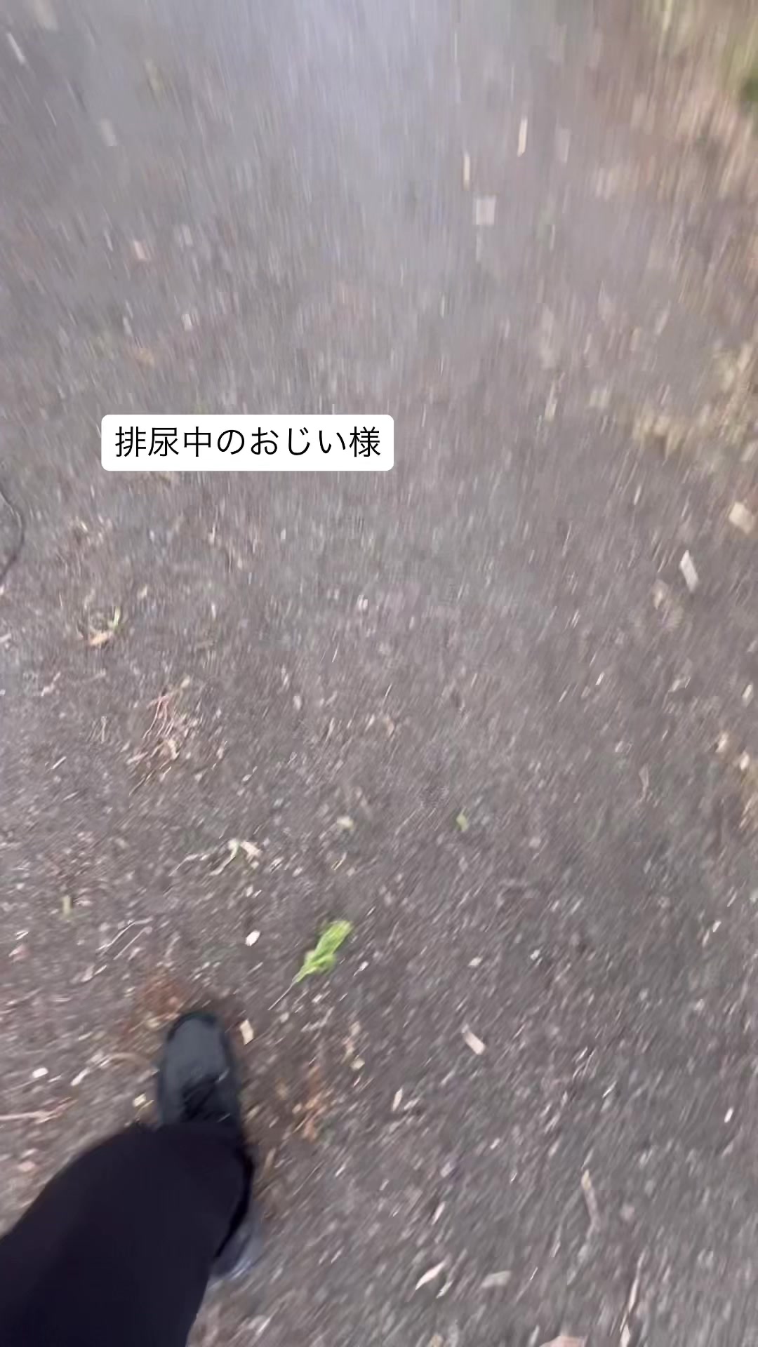 @しばいぬ