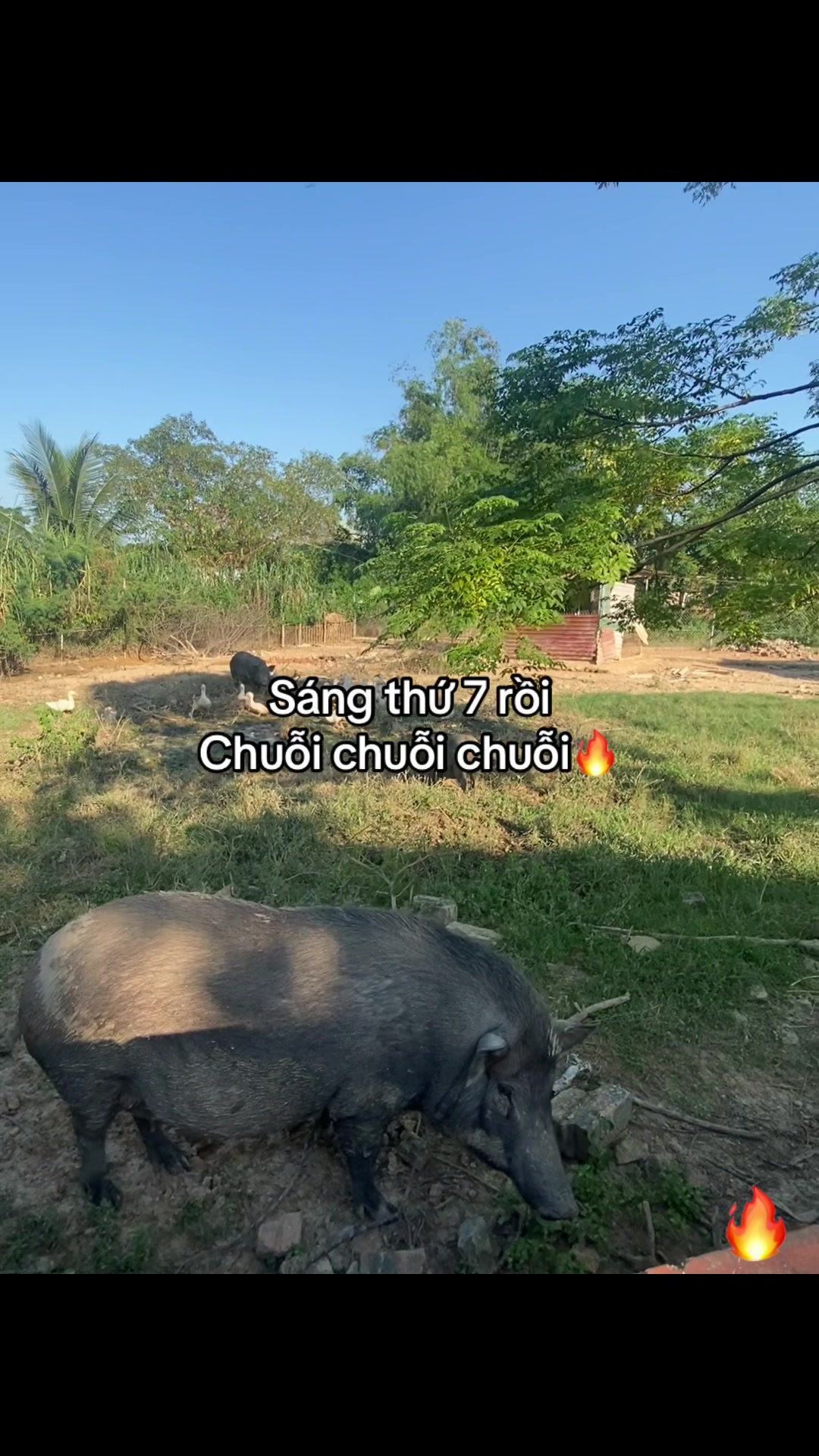 @Người bên em !