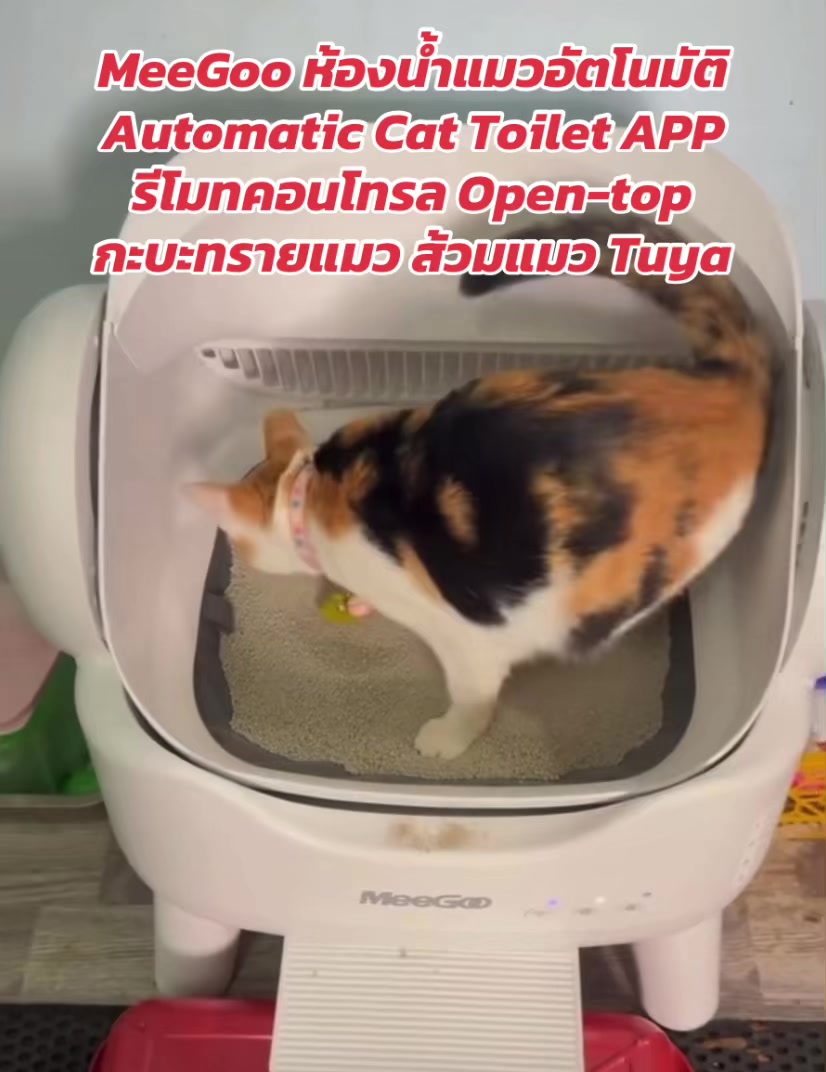 @luxsiriwan21