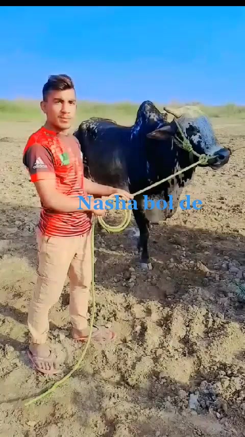 @Nabeel Rajpoot