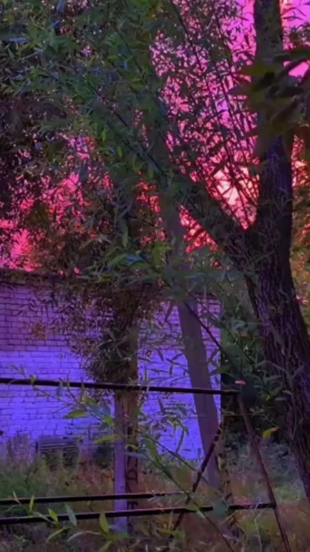 @𝕸𝖗 𝕱𝖆𝖑𝖙𝖔𝖓 𝖇𝖆𝖟𝖆🇪🇺