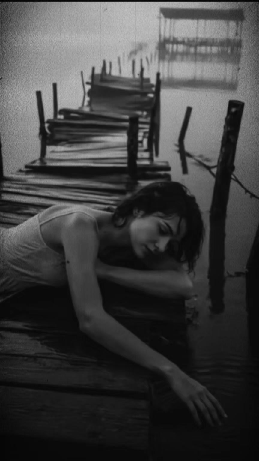 @🖤_butterfly_🖤