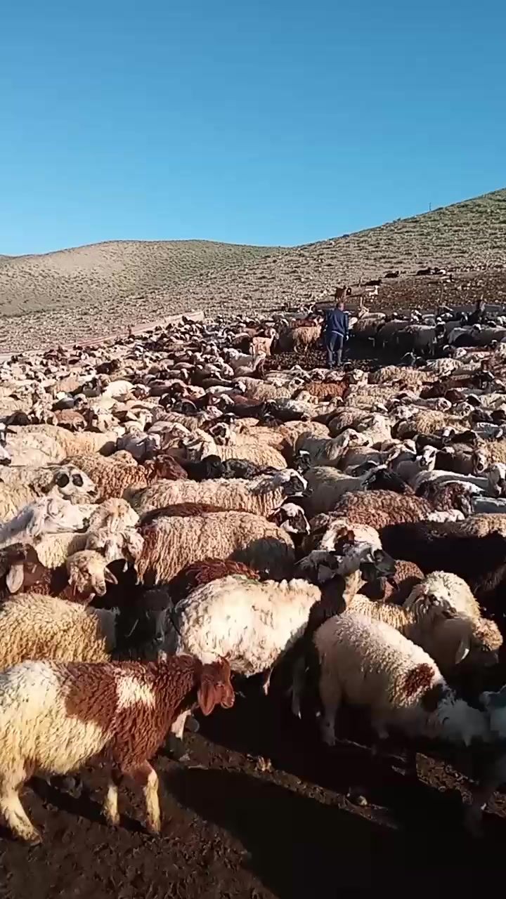 @Zahid cehrili