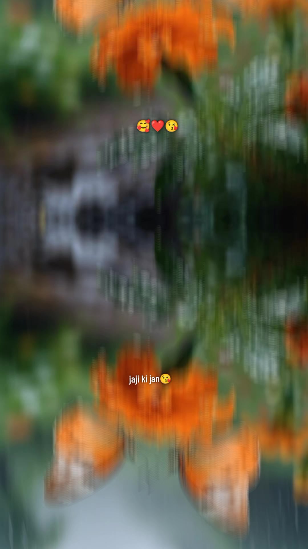@Jaji ki Jan🥰😘