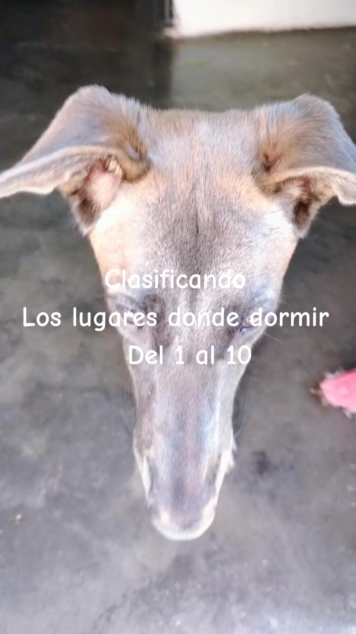 @Adrian
