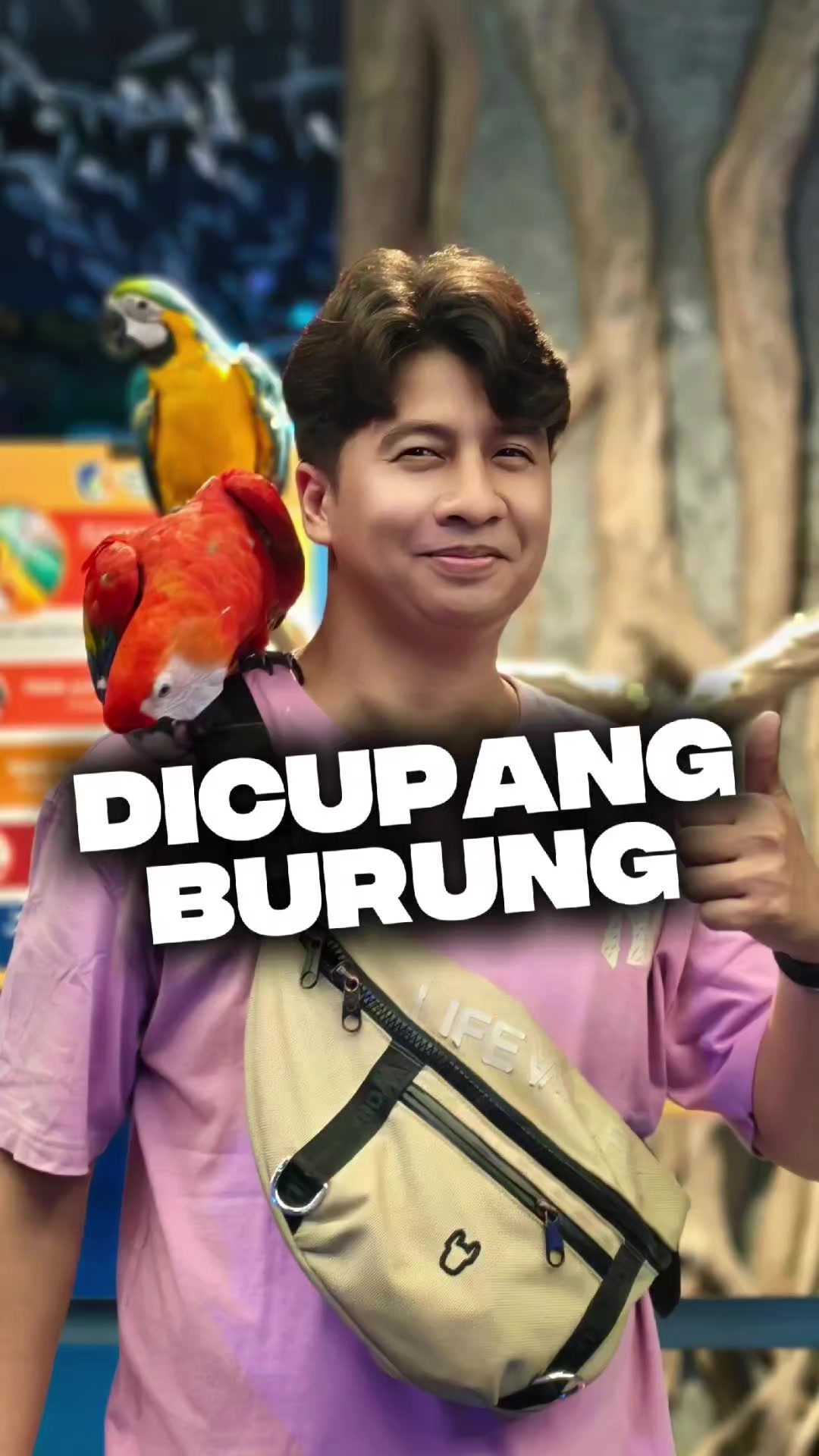 @Denny Aprisani