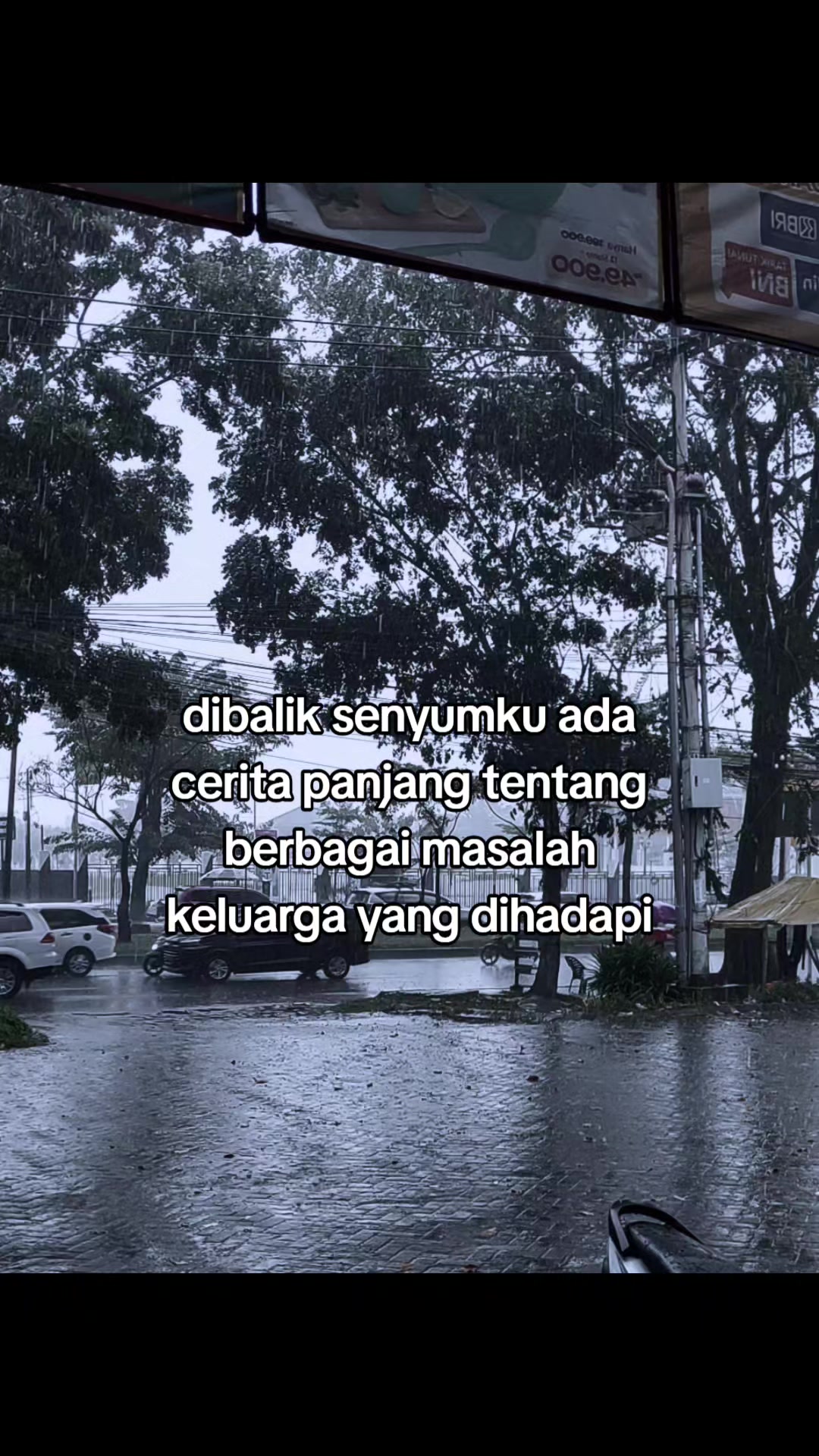 @kando⚡