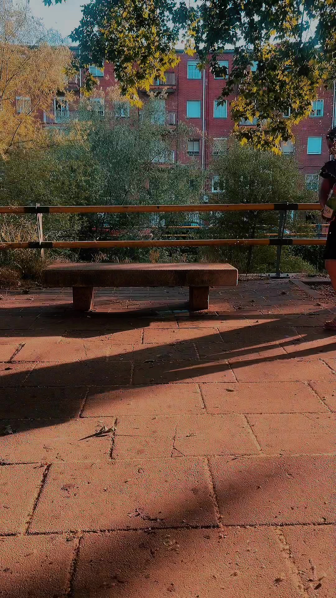 @Laura Amaya Gonzalez
