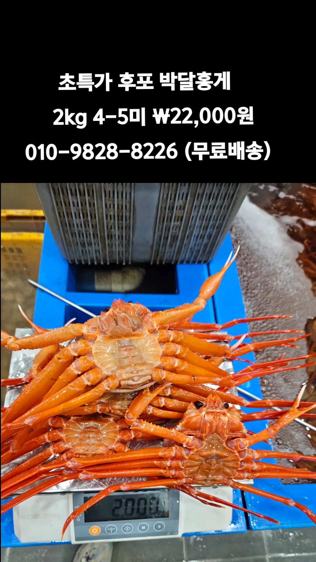 @똑손