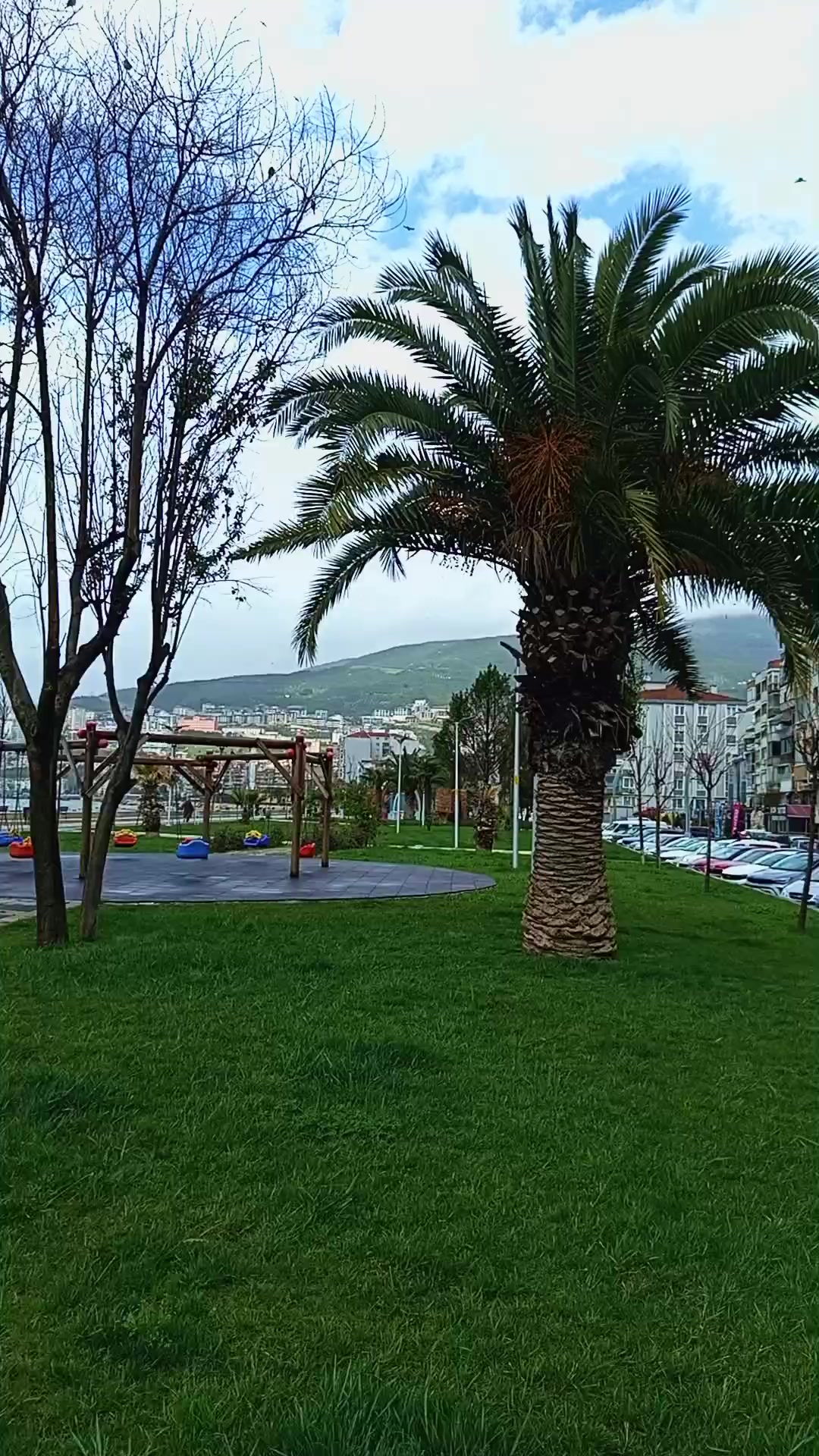 @🕊️_Egana_Shakh_🕊️