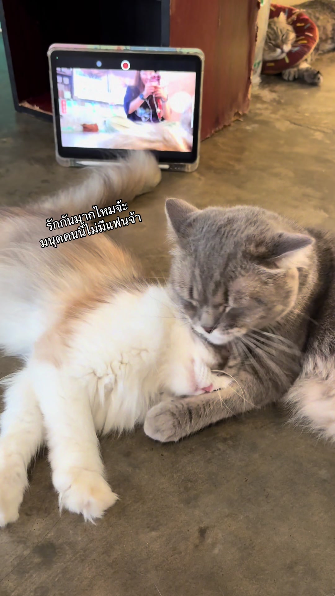 @ยัยบิวไม่ใช่ใยบัว