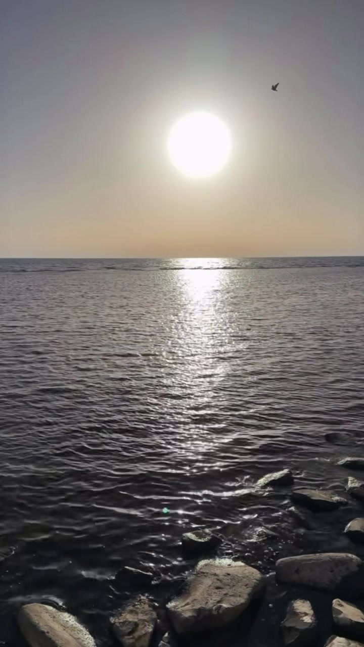 @Alghamdy