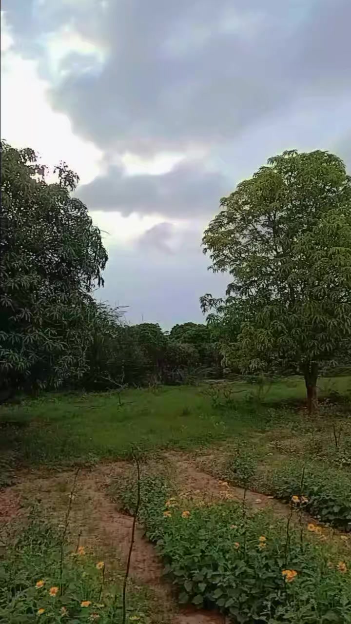 @Mohammed ilaak