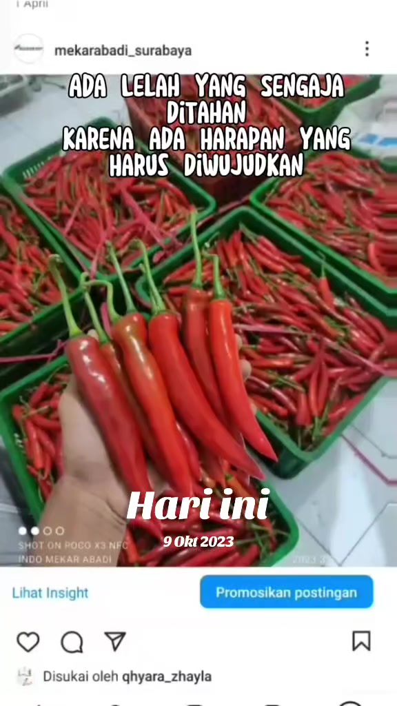 @supplier sayur dan buah sby