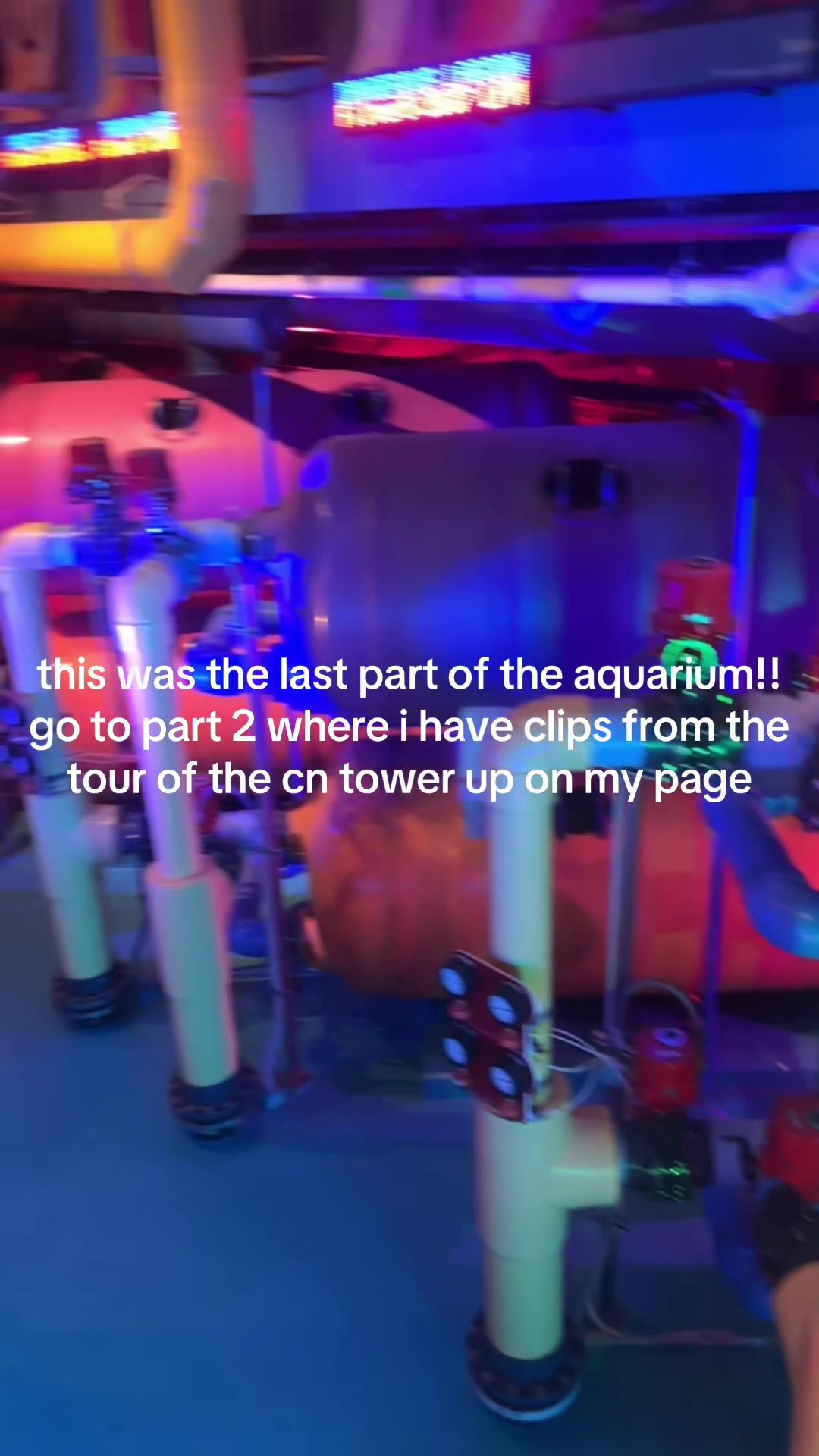 @kaseyharvie🧚♀️🪳