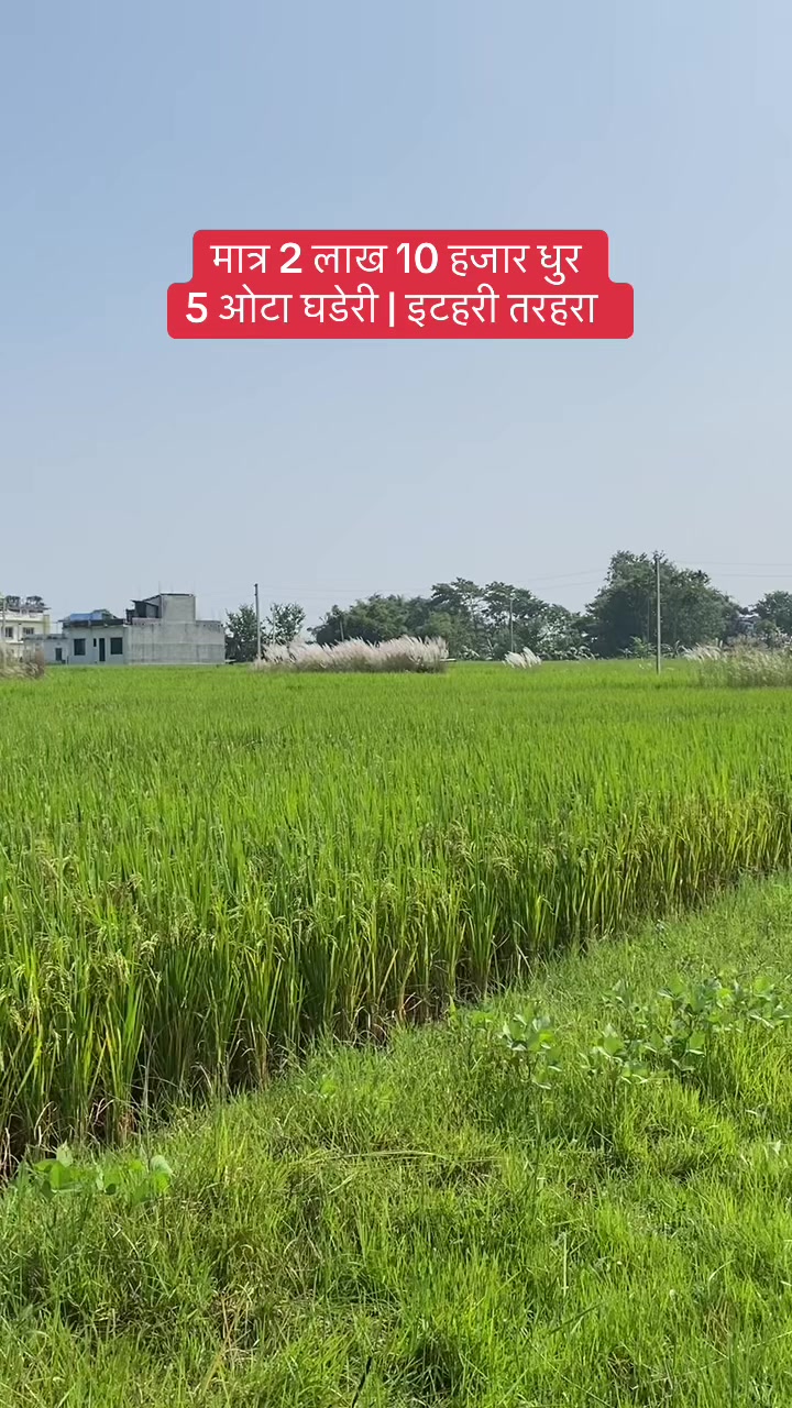 @Bhuban Thapa Real Estate