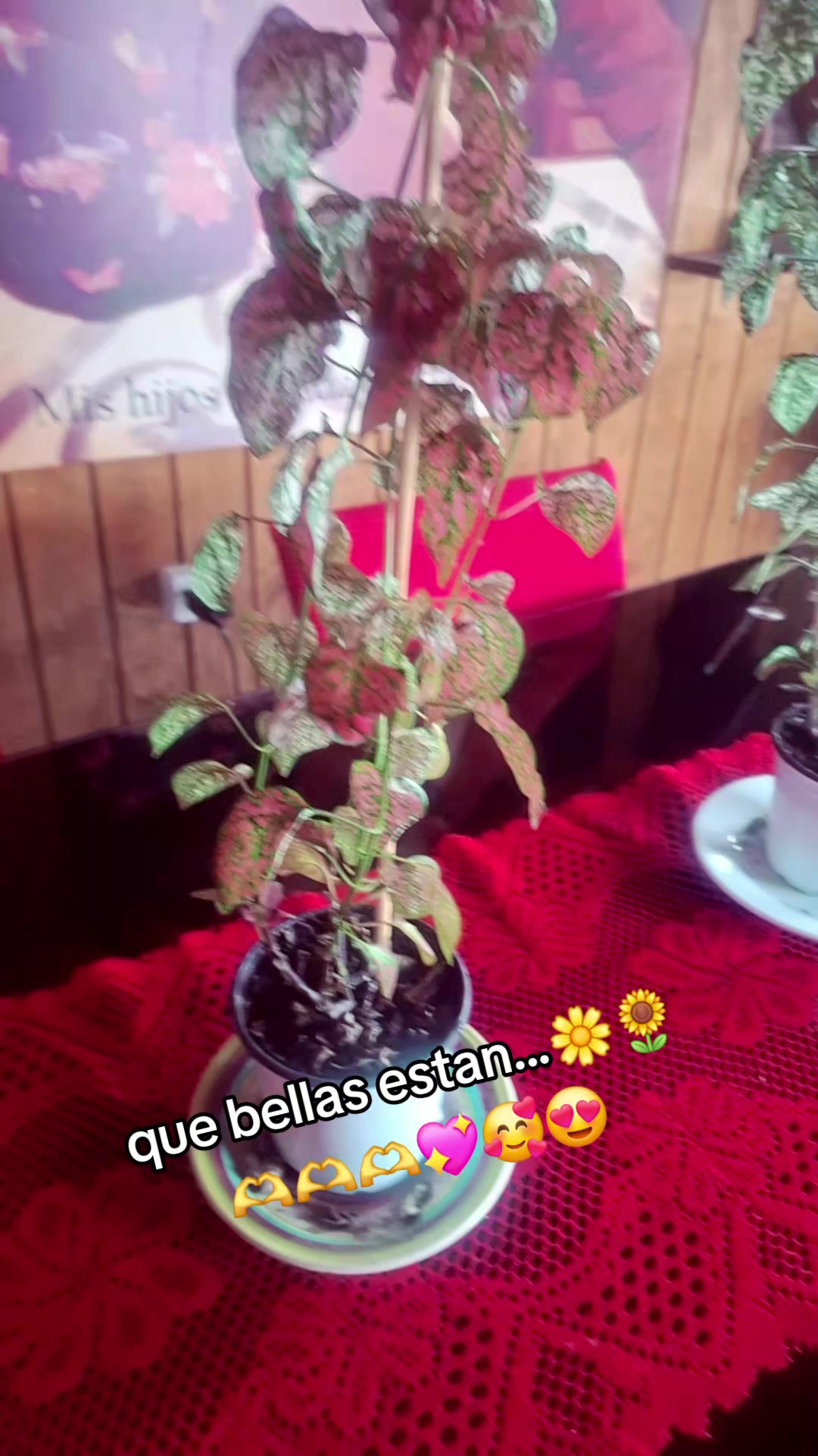 @marisolcita❤️😍🥰