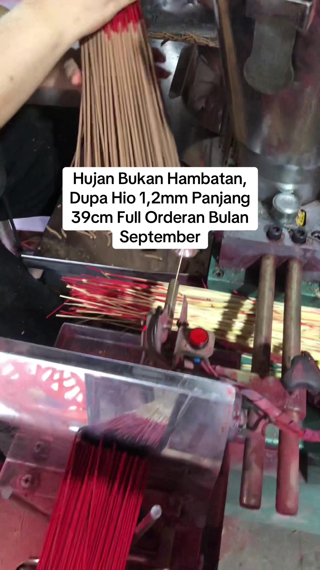 @Dupa Hio Medan