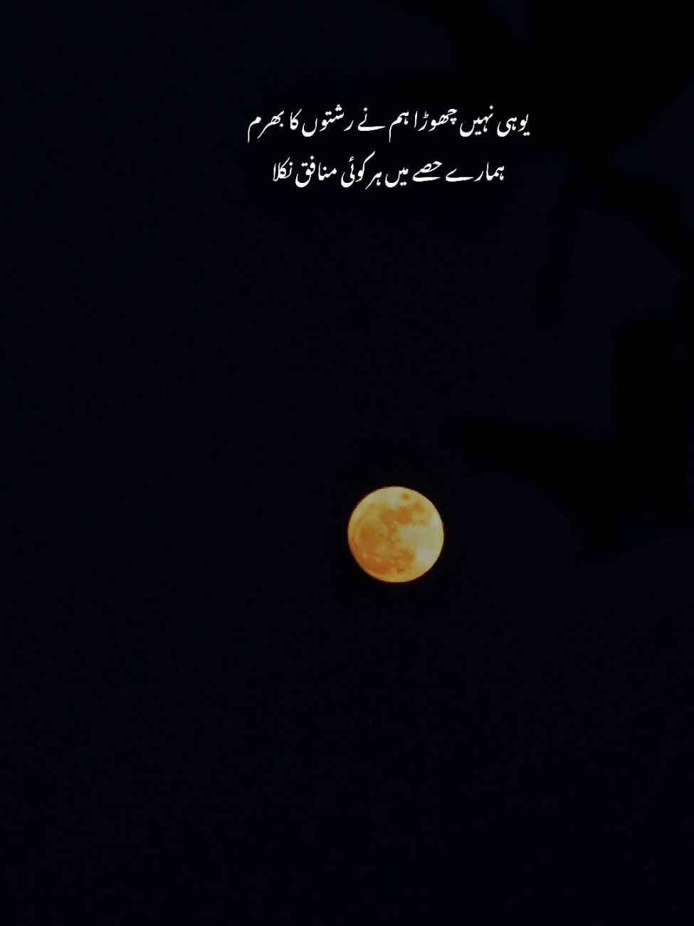 @ــــہہـ٨ــ&hearts;️ـــہہـ٨ـ