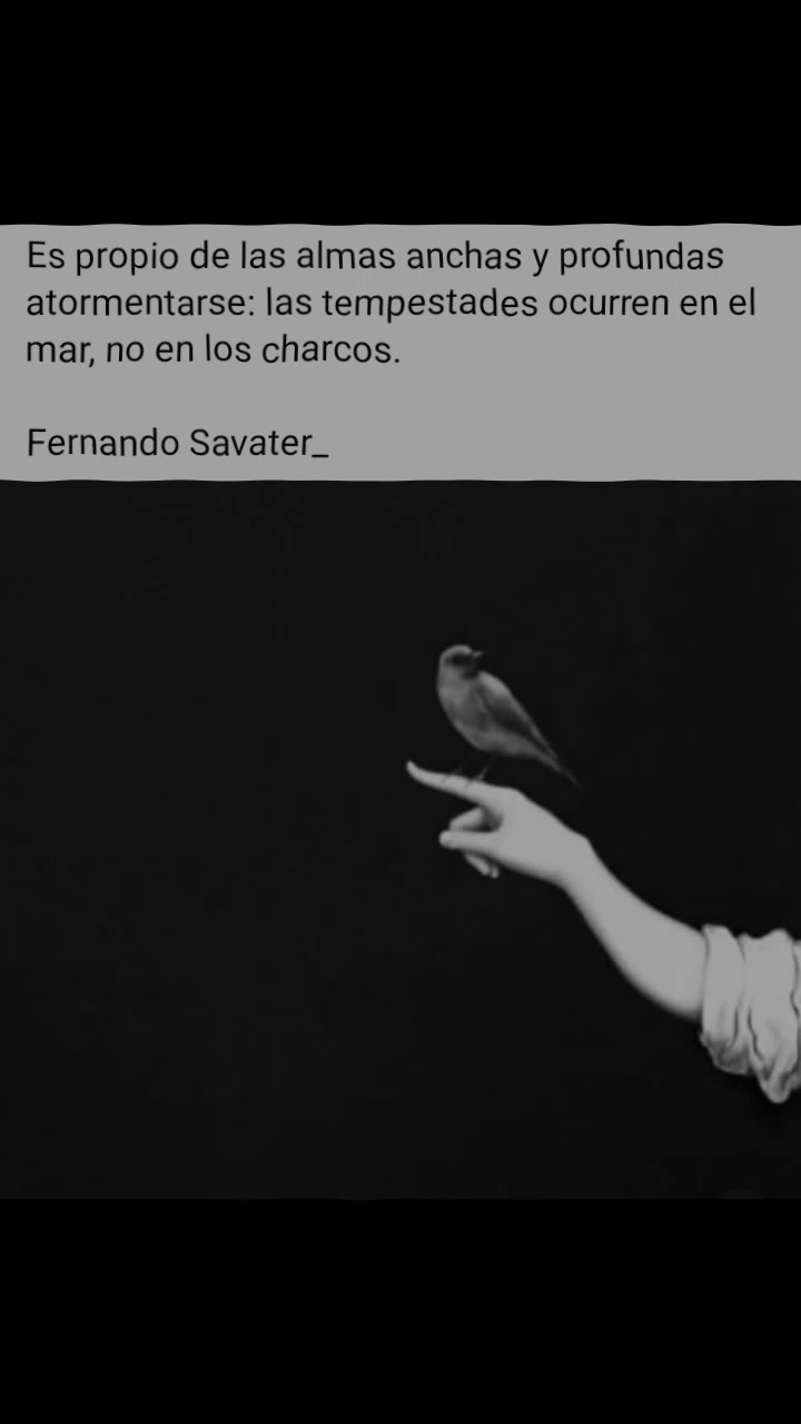 @Chema Camacho