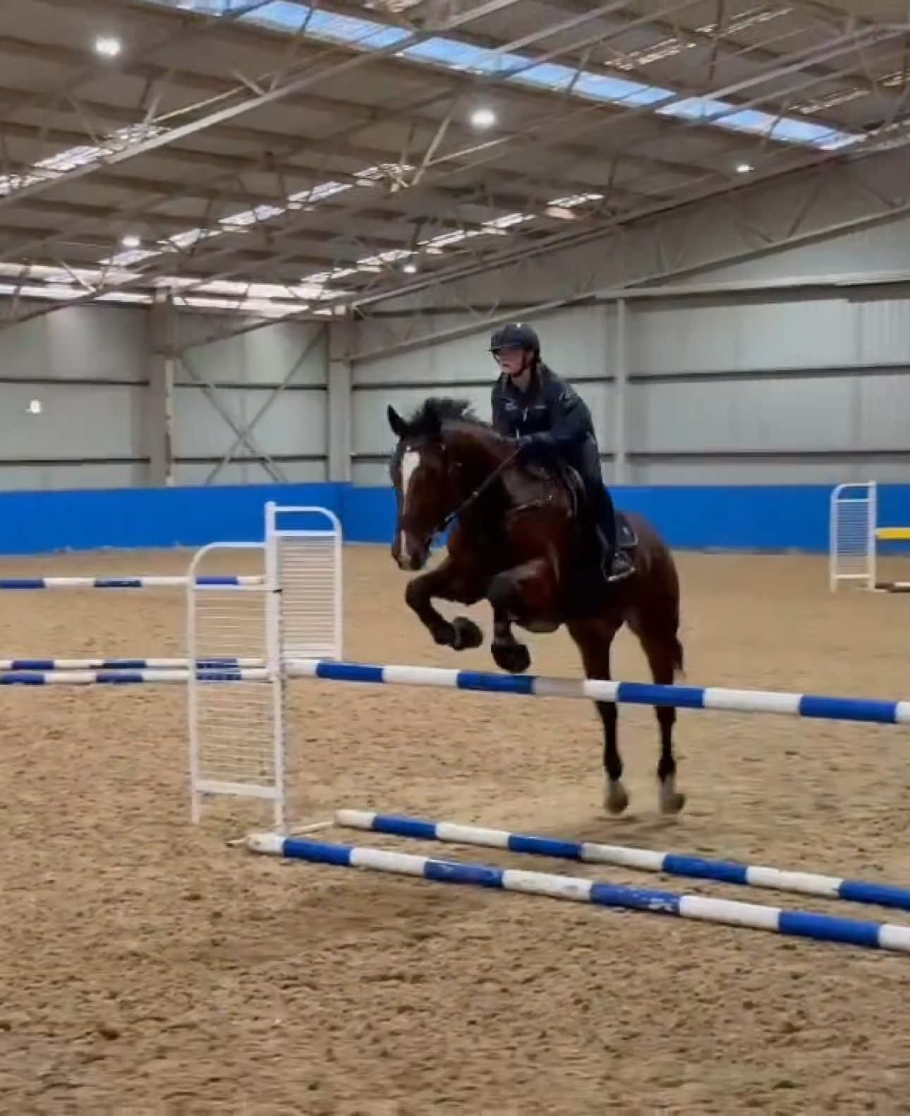 @Imi_.equestrian