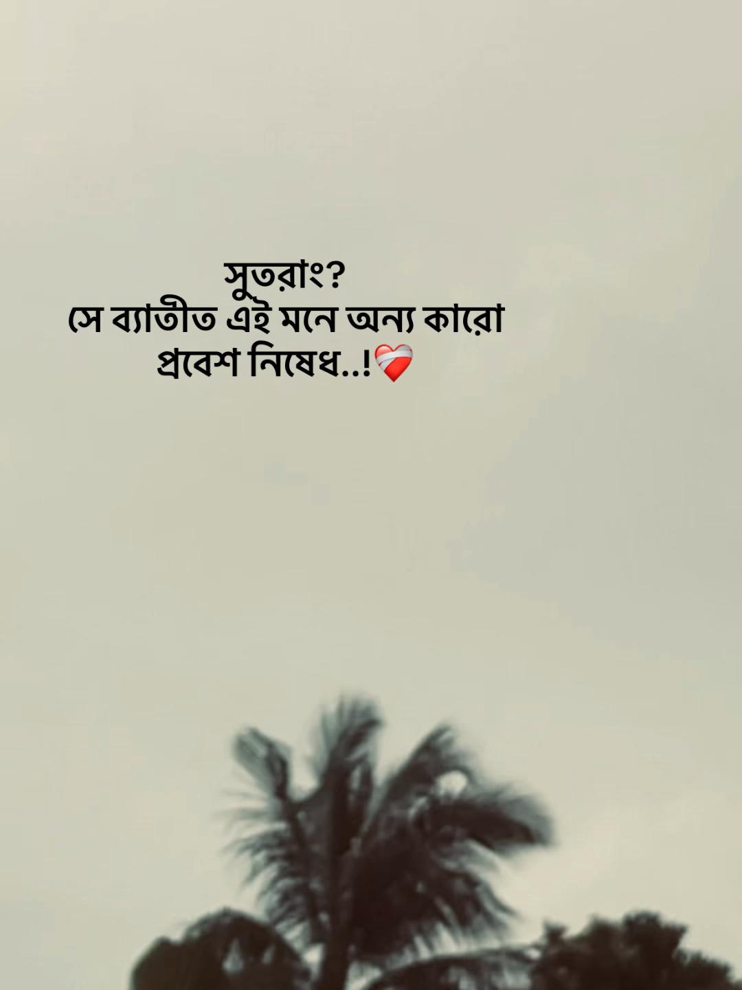 @S_A_Y_M_O_NđĨ°SAMMIHAđĨ°
