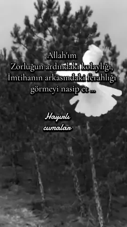 @اللَّه