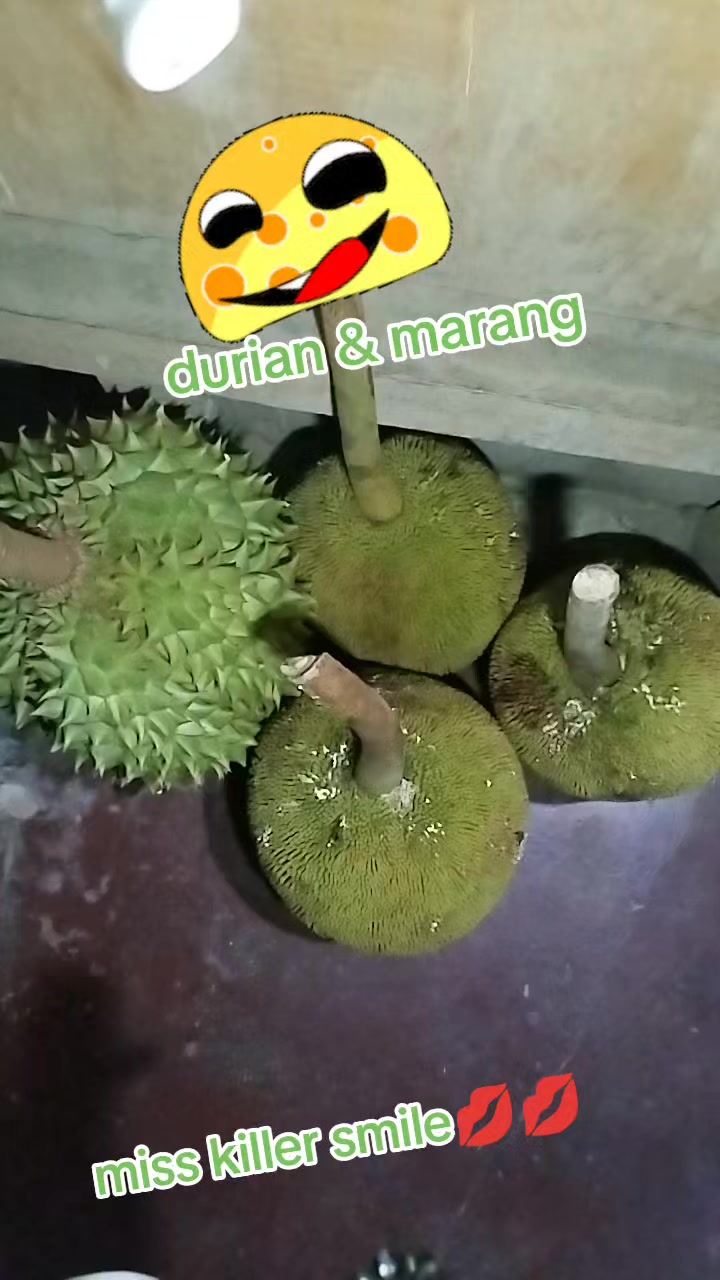 @mahicko