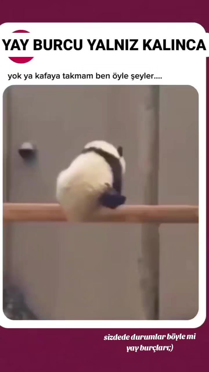 @✿ Mürüş ✿