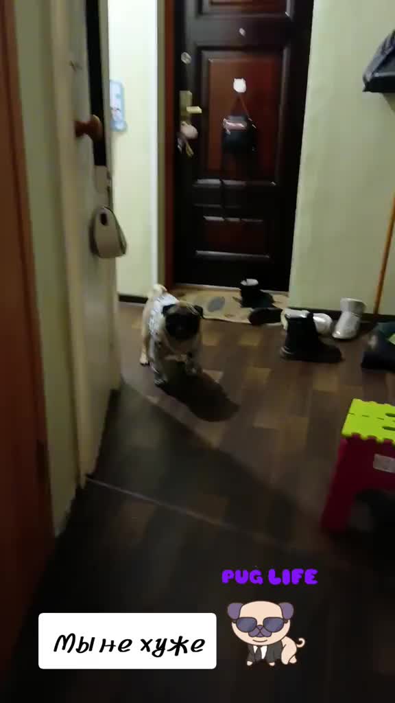 @Хуанита💃