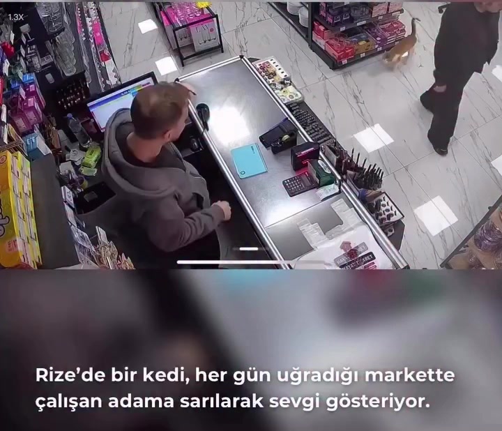 @Kader