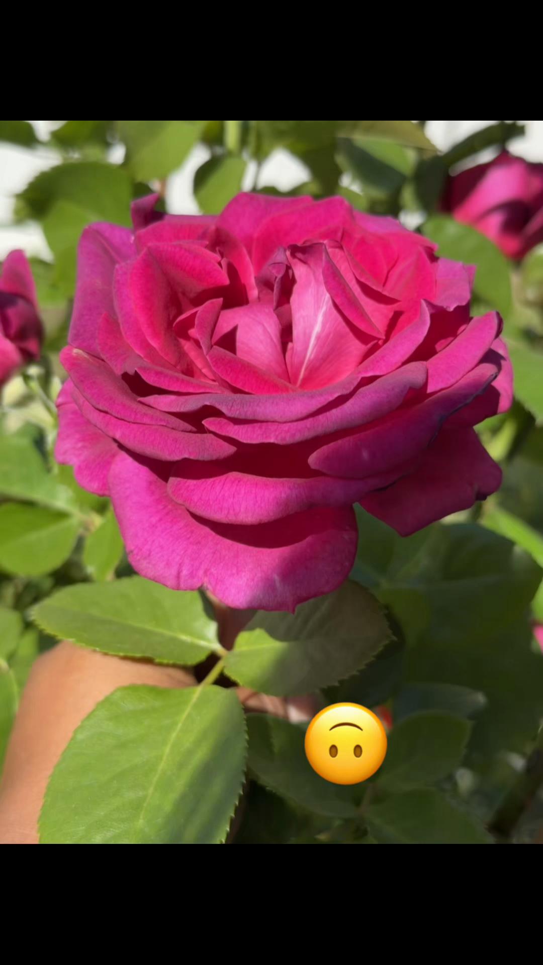 @Lili🖤