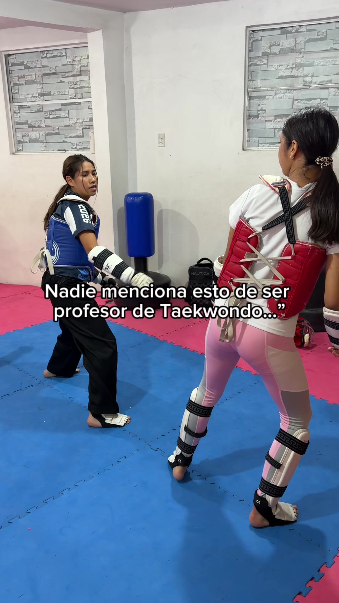 @taekwondolionsteam