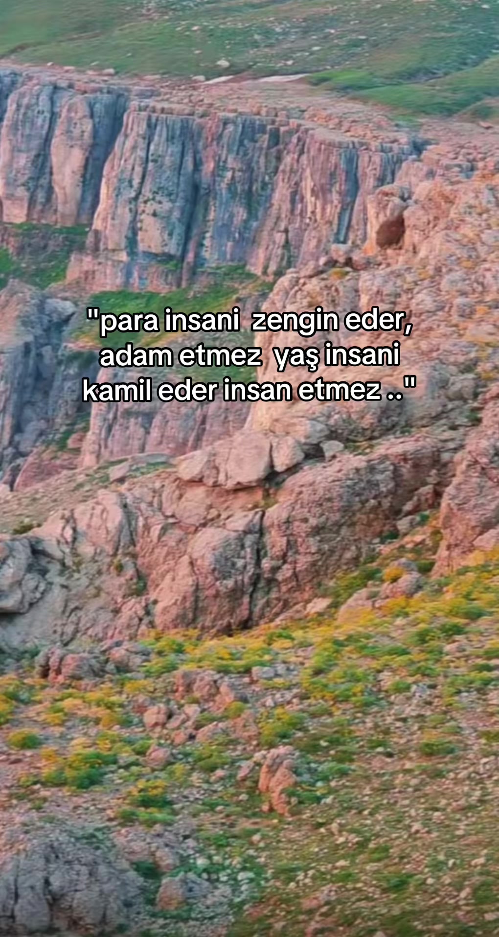 @ŞİYAR ✪