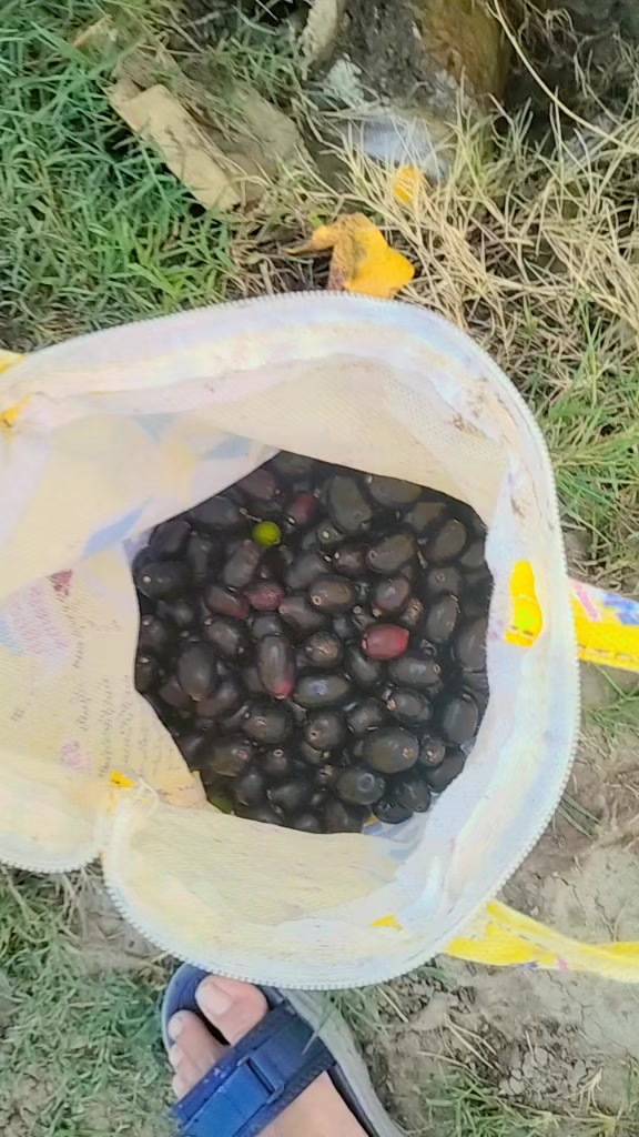 @saifkamboh120