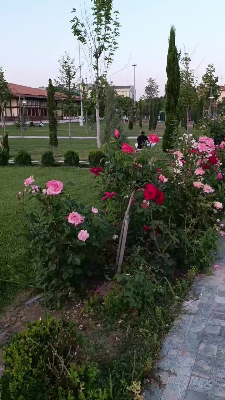 @Fatma Taşcıoglu