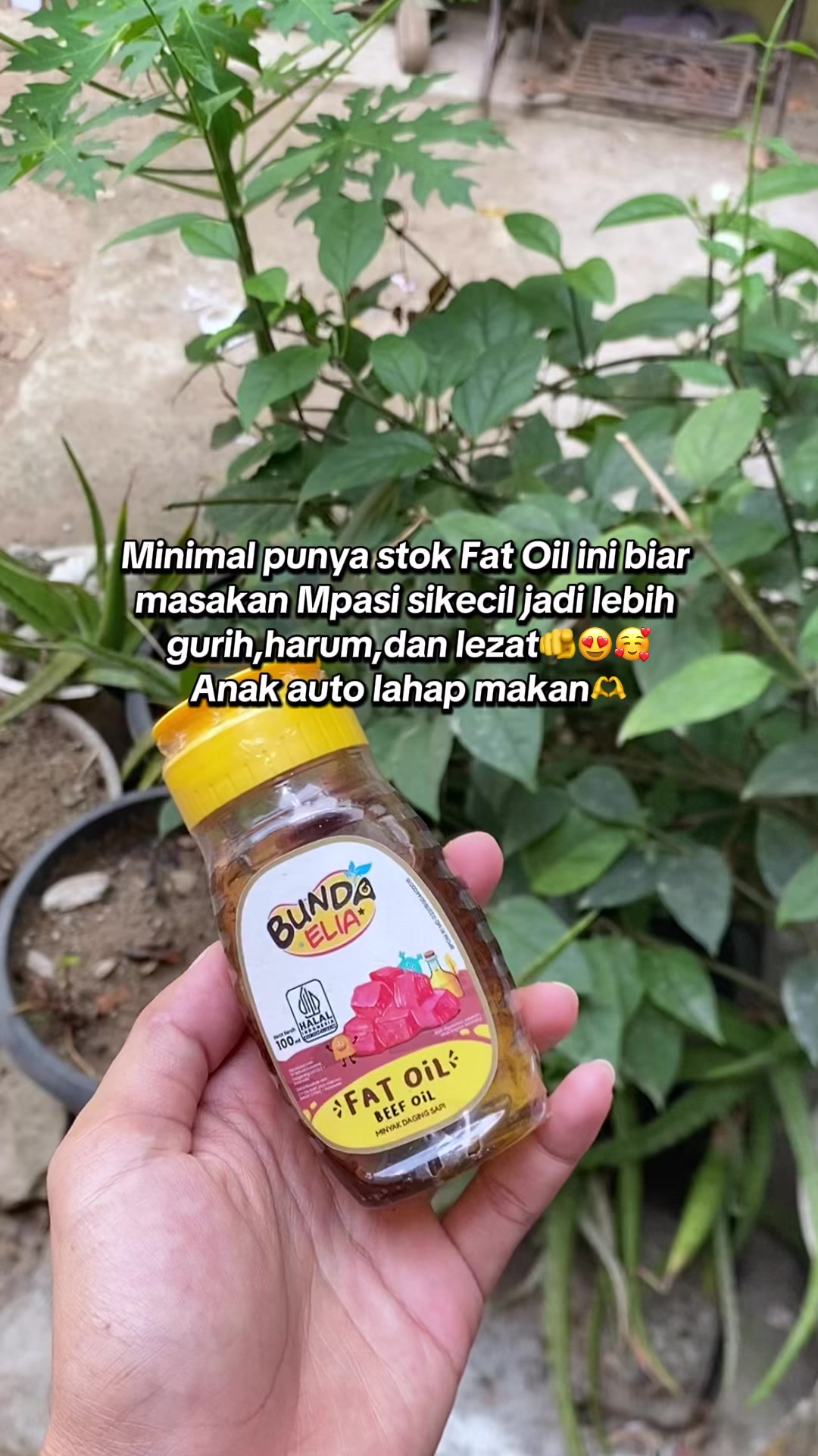 @fifi