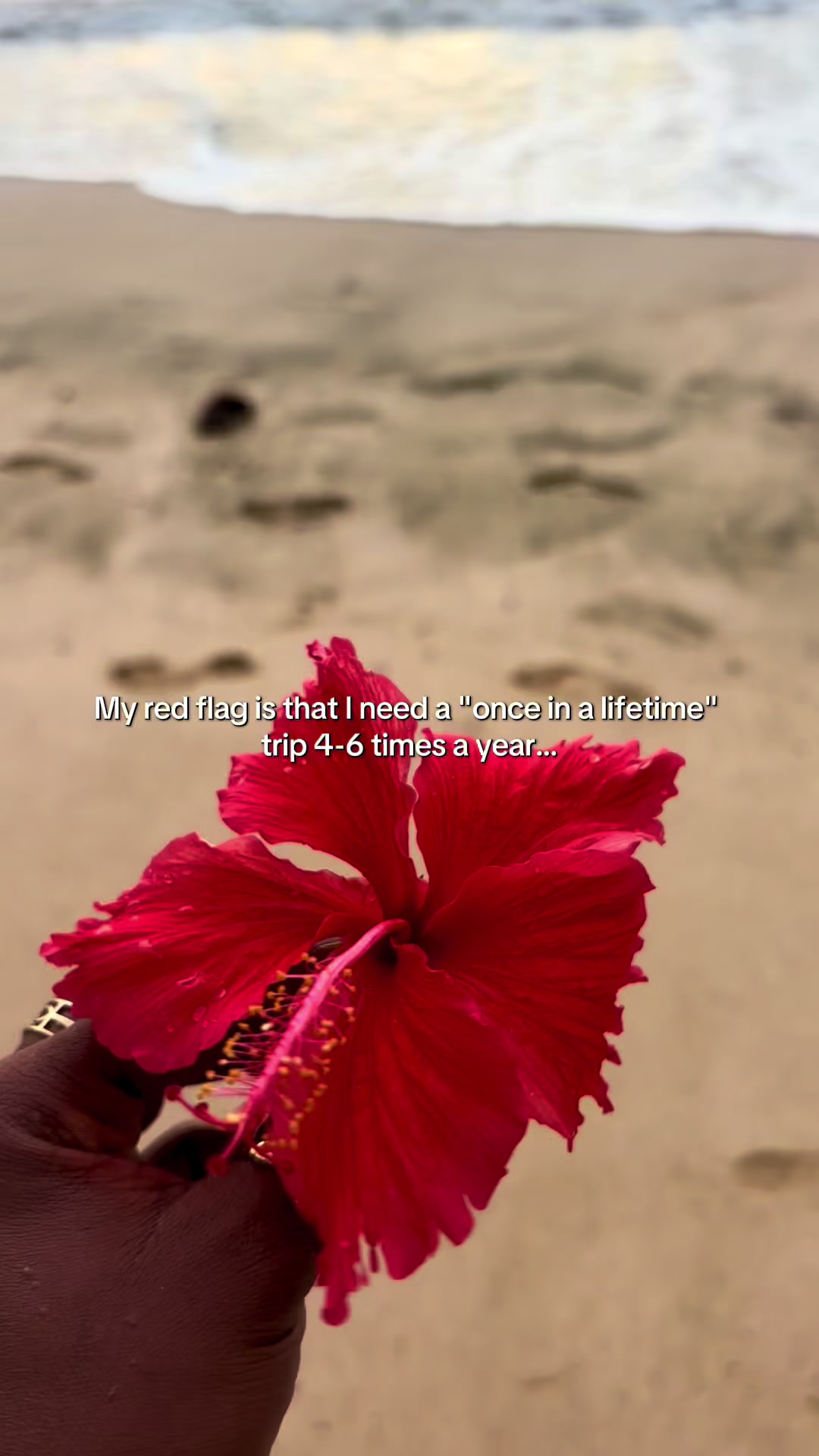 @IndigoGoddess🏝️🪬🌺