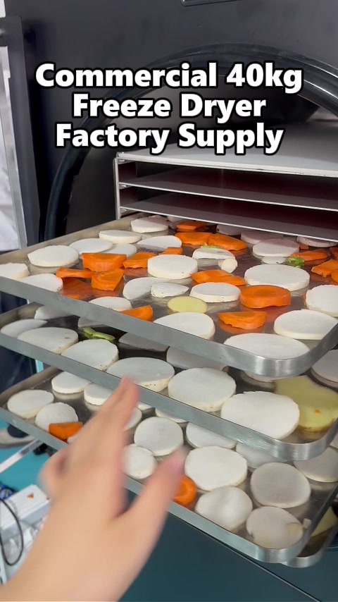 @Dalle freeze dryer