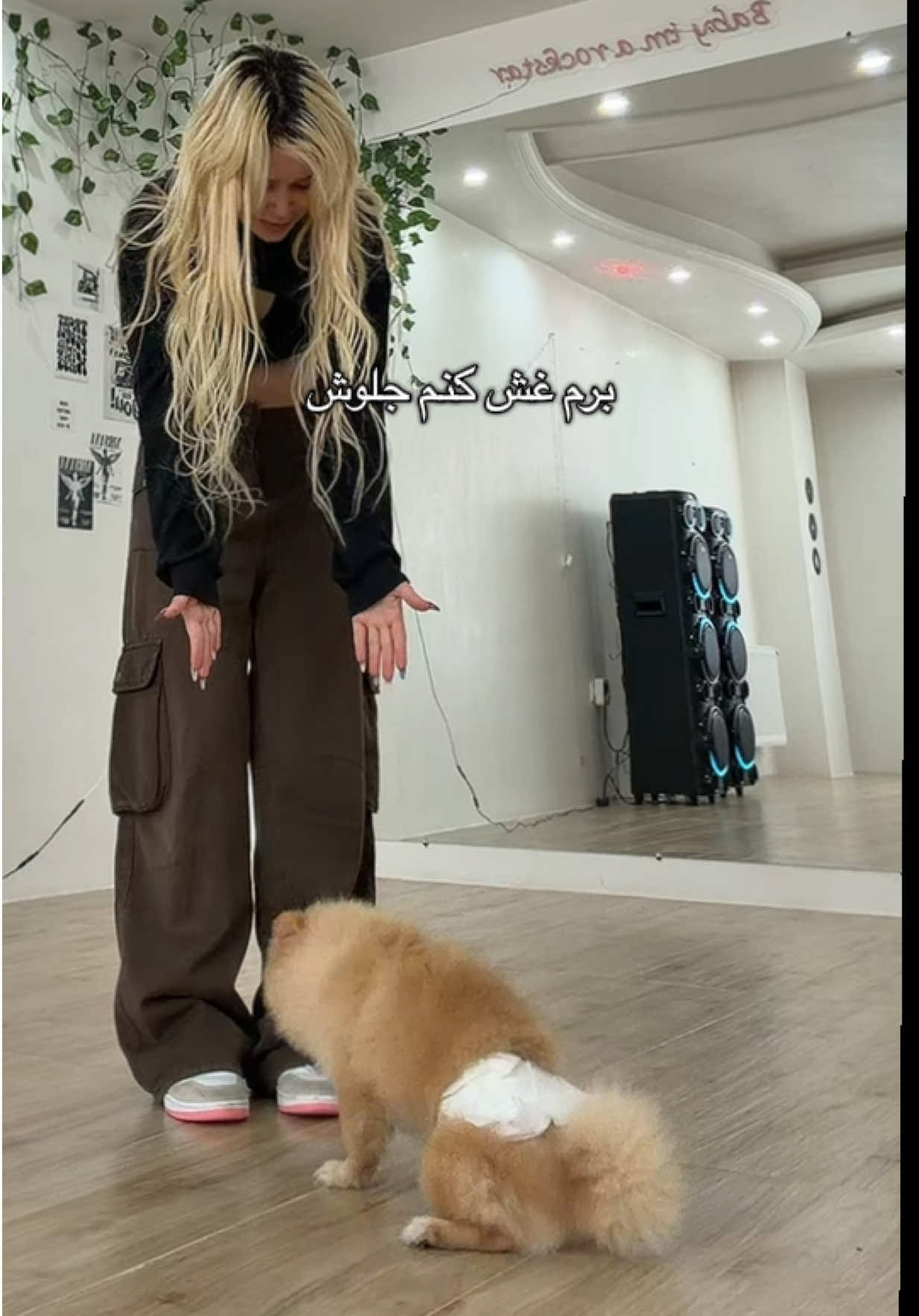 @heliaydn