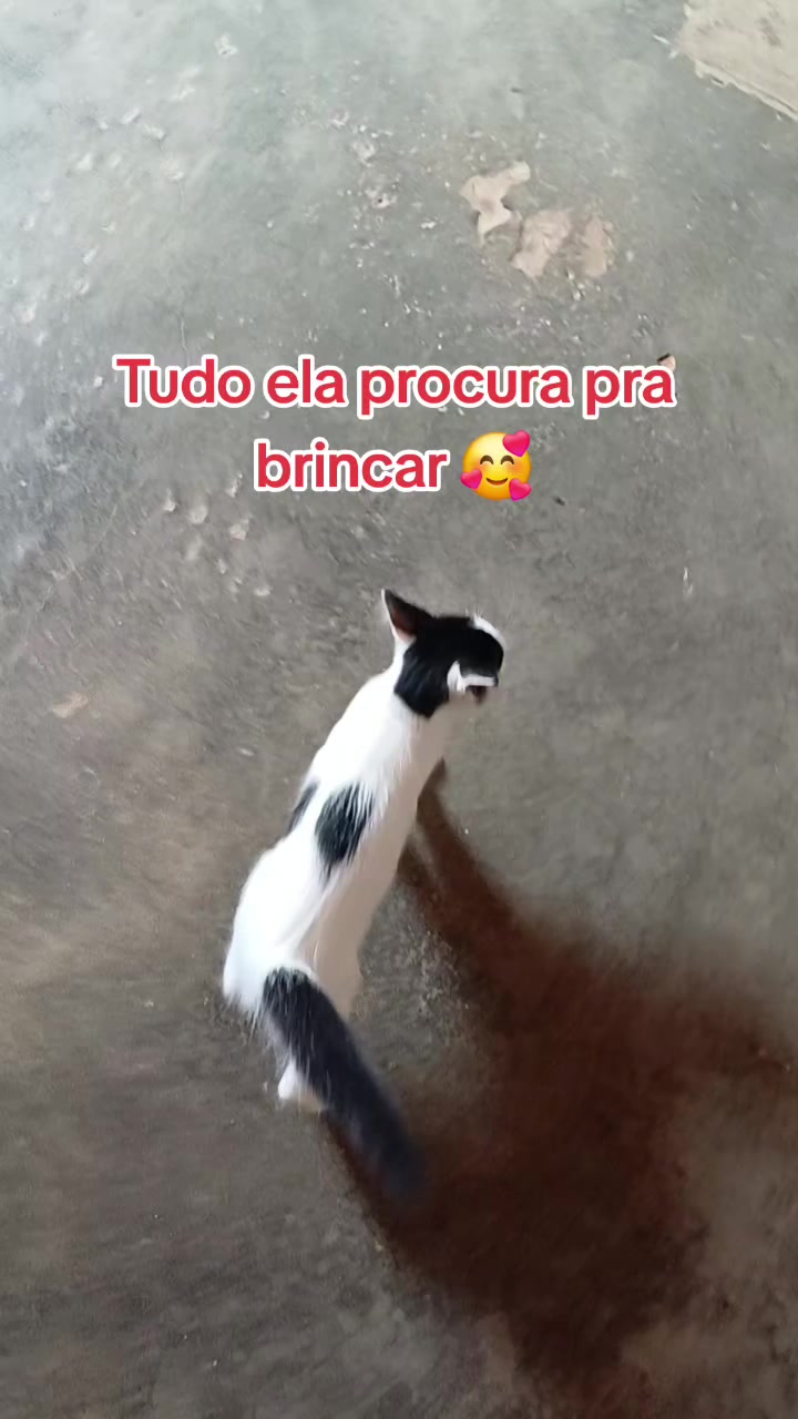 @Amante da natureza