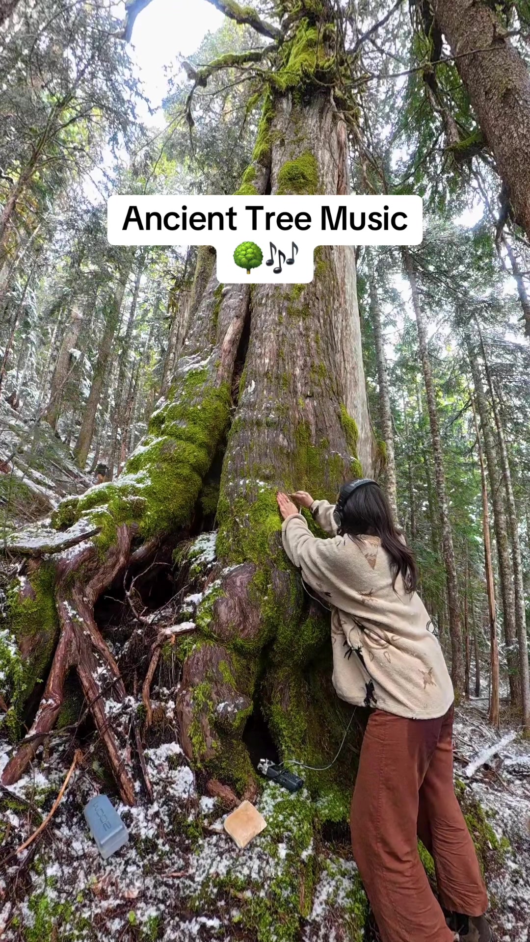 @Modern Biology