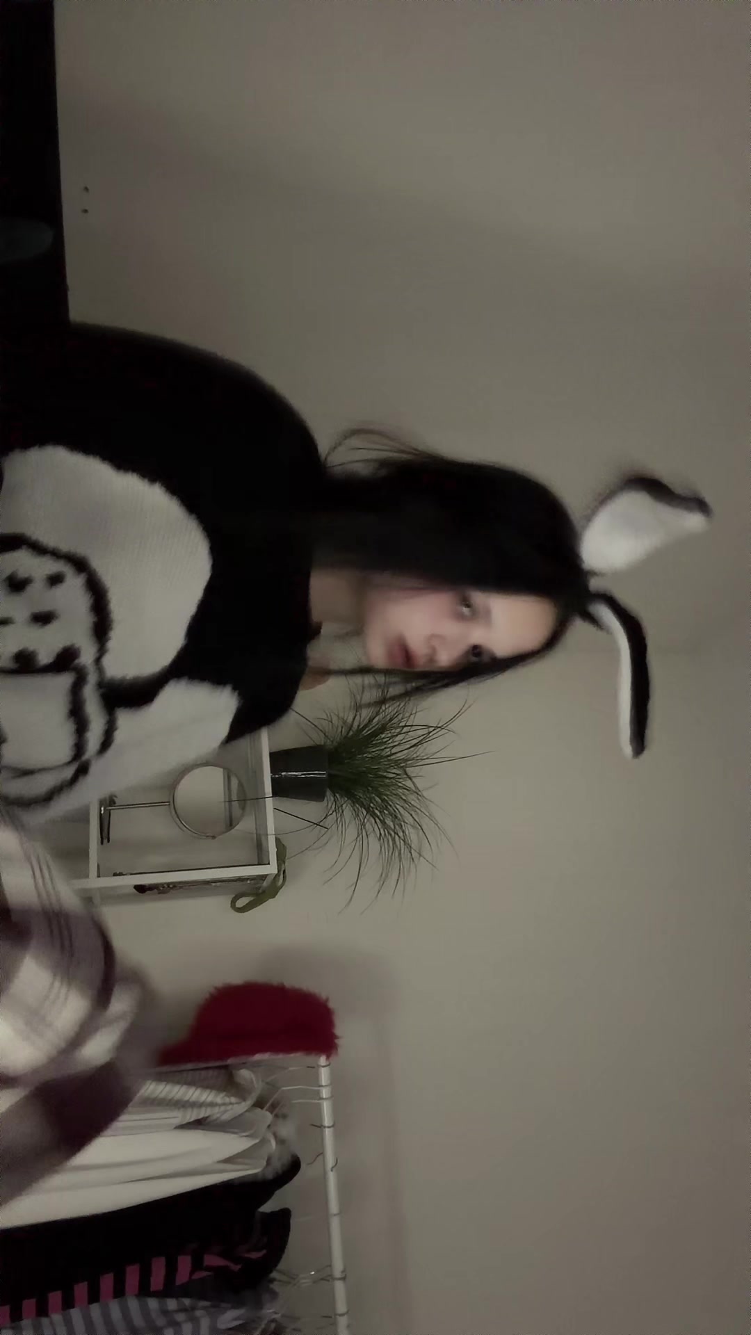@alexanax