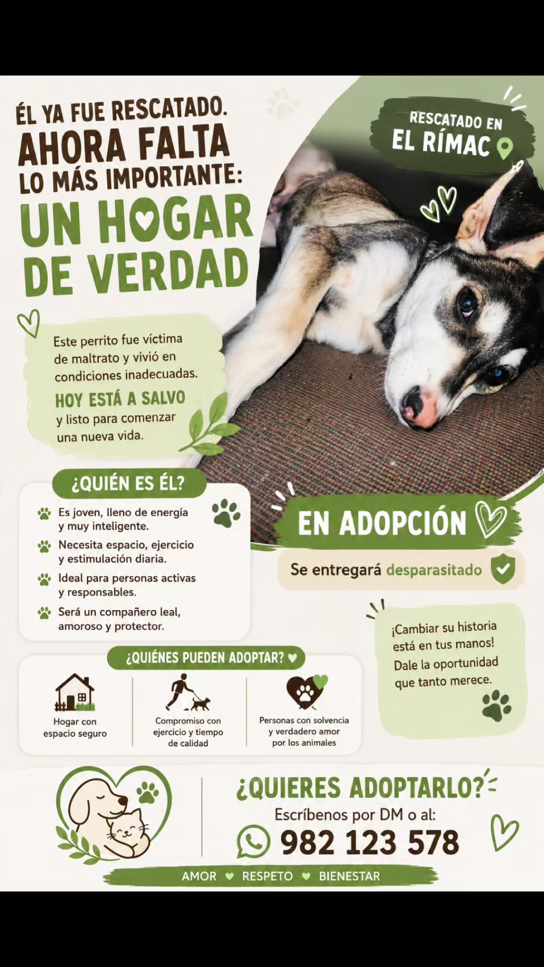 @Vital Paw