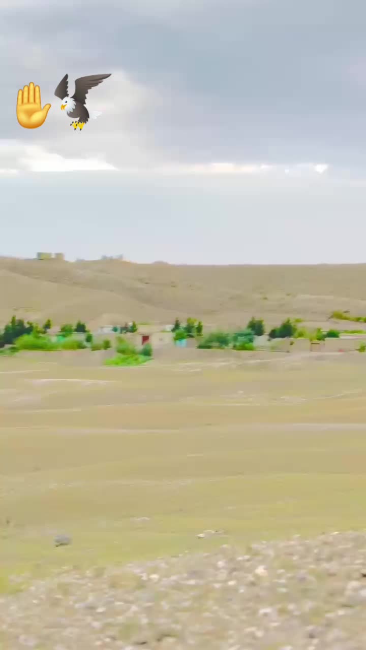 @علی حیدر