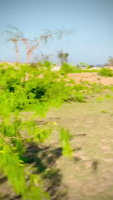 @zohaib bangash 711🖐️🖐️