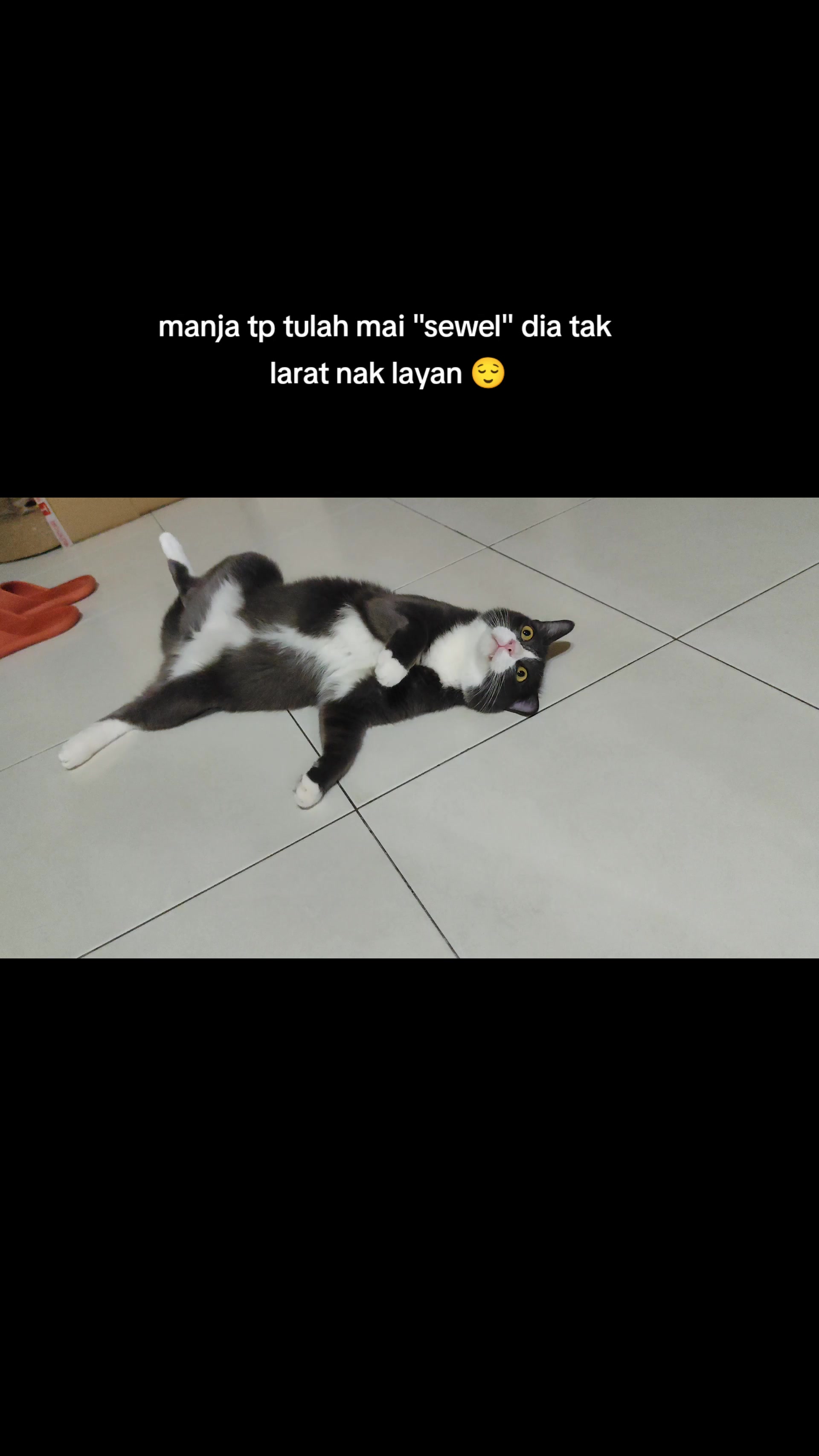 @Omma Kucing 🇲🇾🍉