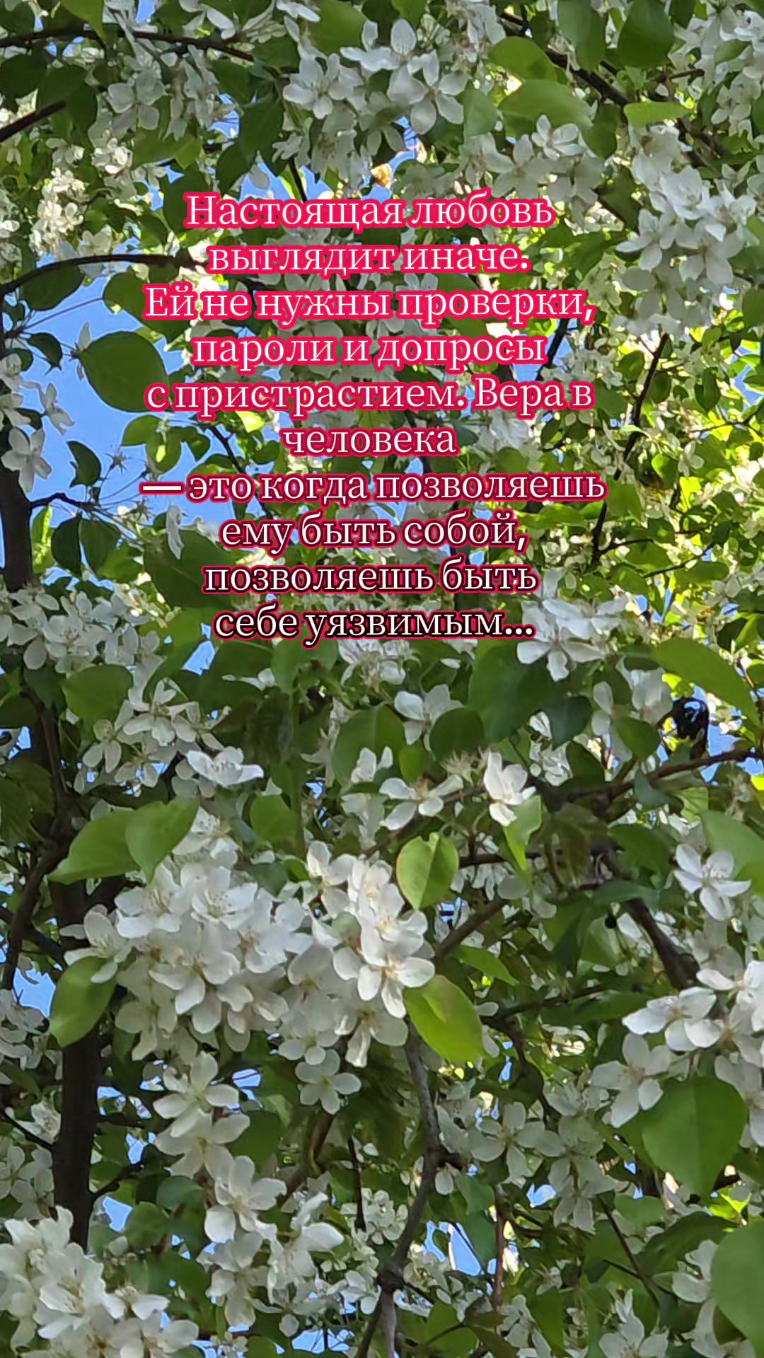 @Яркое Лето