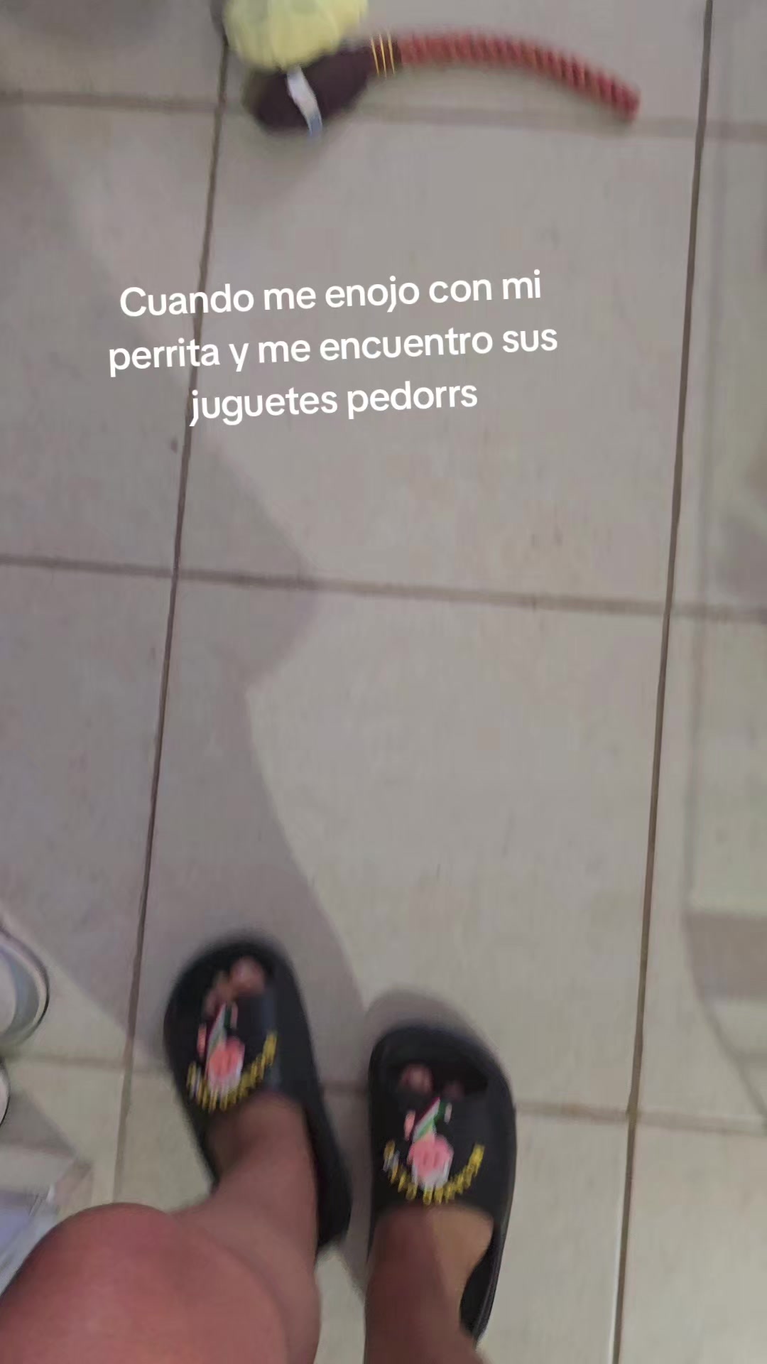 @steph
